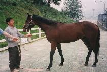 �����̾� (JEIRIYA) ����