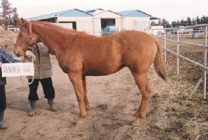 ���� ����