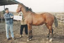 ���� (UNGJU) ����