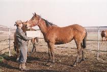 �������� (SAETBYEOL SESANG) ����