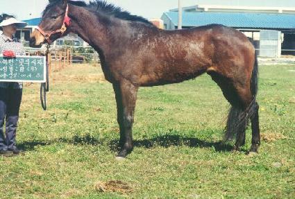 ���ǻ��� ����