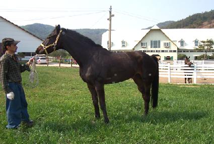 ��û�� ����