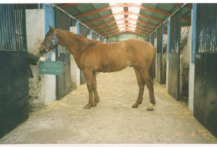 �ϴ����� ����