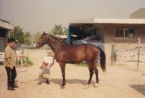 �ڸ��Ƚ��� (KOREAN SLAM) ����