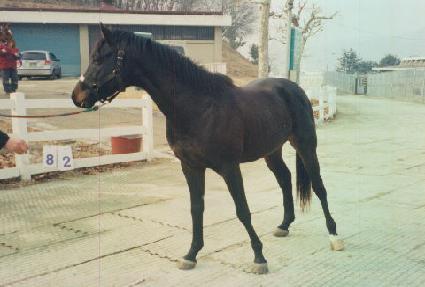 ��ȭ�� ����