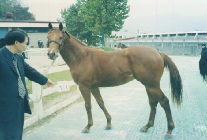 Ŀ�ּ� ����