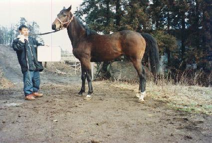 �������� ����