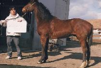 ��õȲ���� (GWACHEONHWANGTAEJA) ����