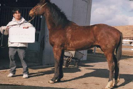 ��õȲ���� ����