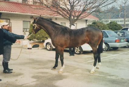 ��Ű�ǿ� ����