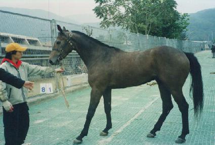 ����Ʈ��Ʈ ����