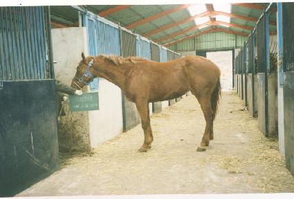 �¾ƾ� ����