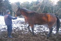 �������� (BINGO BINGO) ����