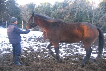 �������� ����