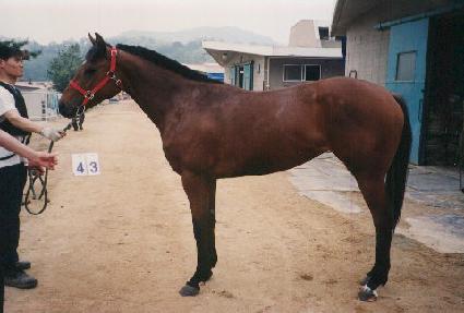 ���� ����