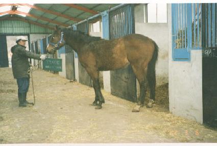 ������ ����