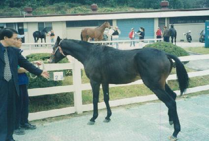 ���ۿ�Ʈ�� ����