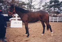 ��µ��� (SANGSEUNGDORI) ����