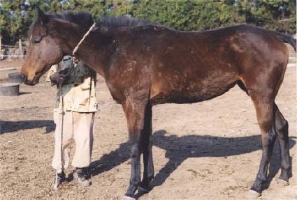 û��� ����