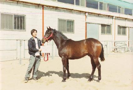 ������� ����