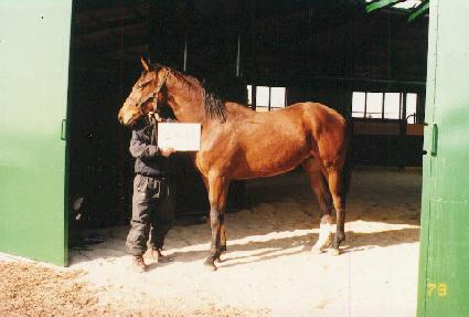 �������� ����