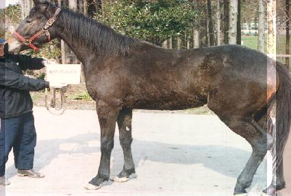 �����ô� ����