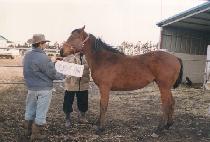 û��� (CHEONG EO RAM) ����