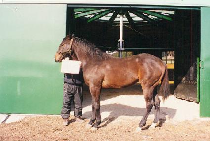 �������� ����