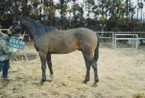 ���� (DAESANGSEUNG) ����