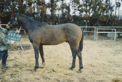 ���� ����