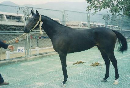 ��ħ���� ����