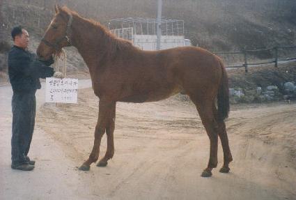 �ӵ��� ����