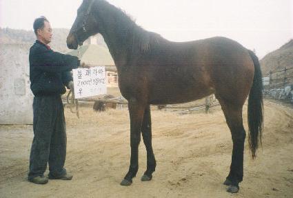 �ܼ����� ����