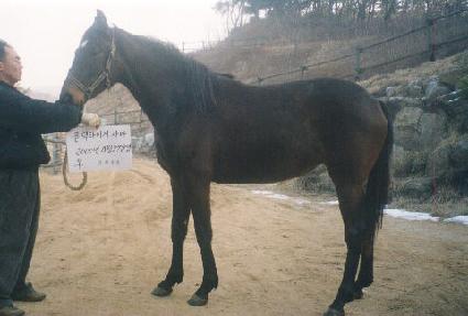 õ���ȭ ����