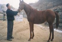 �������� (MUGEUK PYEONGJEONG) ����