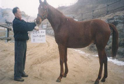 �������� ����