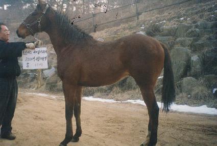 ��ǳ�� ����