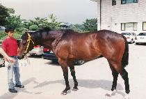 �ÿϽ� (NEURWANSEUNG) ����