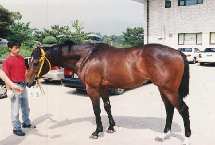 �ÿϽ� ����