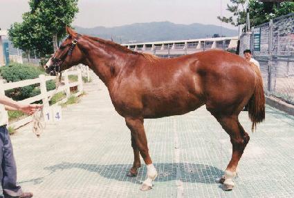 ��� ����