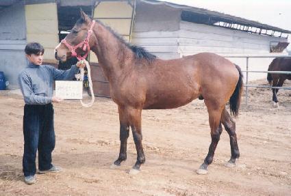 �������� ����