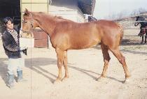 û���� (CHEONG AM JEONG) ����