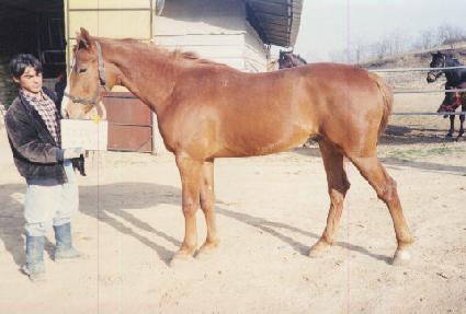 û���� ����