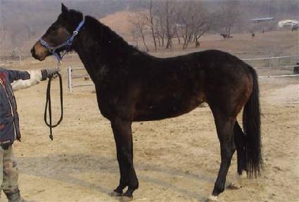 ��ۻ� ����