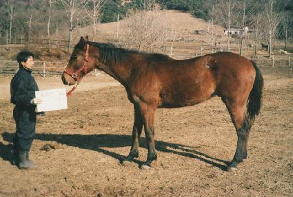 Ʈ����Ÿ ����