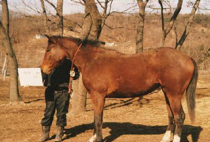 ��Ʈ ����