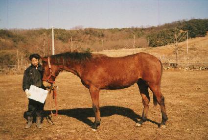 ��� ����