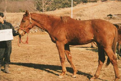 �ݻ� ����