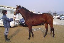 SINSU DAEGIL picture