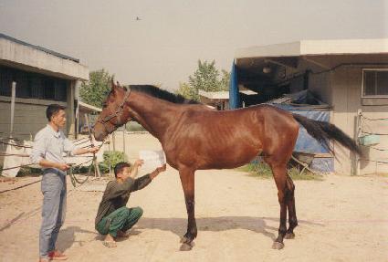 �Ŀ����� ����